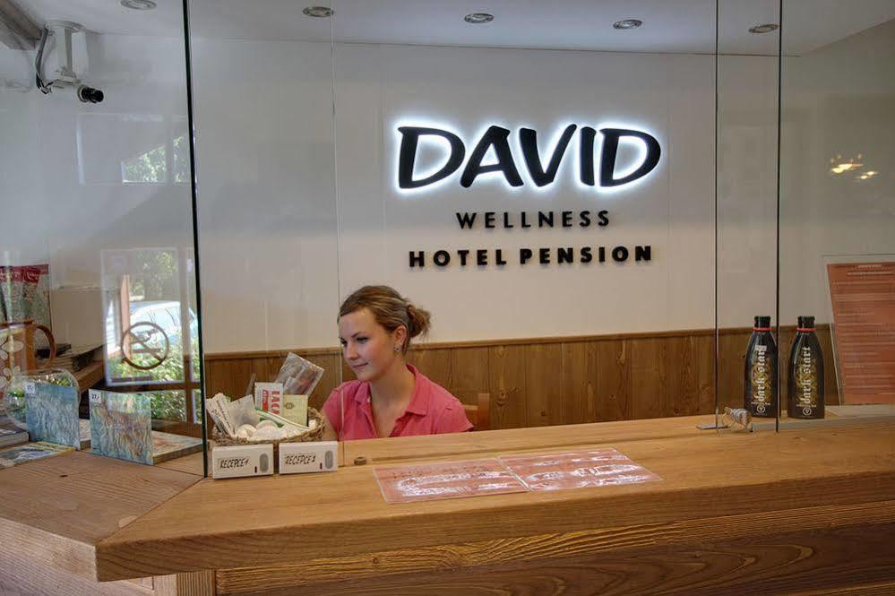 David Wellness Hotel Harrachov Exterior foto